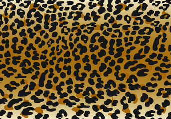 Vector illustration set of animal seamless prints. leopard texture background