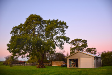 The houses with high tree, green grass field and twilight sky background on sunny day in Melbourne, Australia