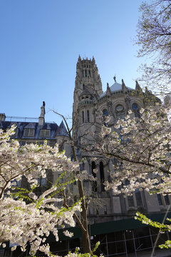 Upper Manhattan, New York, USA.  Early summer blossom on Claremont Avenue with a backdrop of The Riverside Church, Upper Manhattan, NYC.