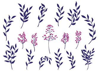 Vector set of branches with leaves and berries. Garden plants in blue and pink.