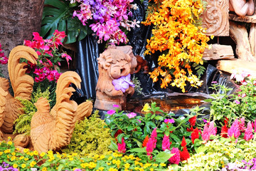Beauty colours in flowers festival