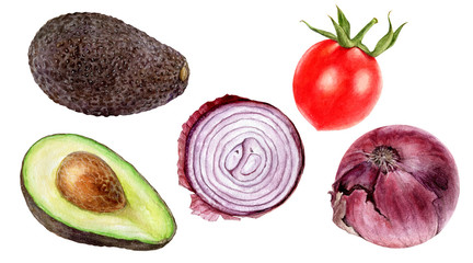 Purple onion bulb, tomato, avocado set watercolor isolated on white background