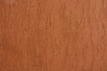 old brown skin structure can be used like background 