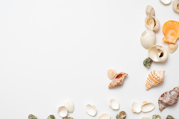 Different seashells on a white background , the concept of holidays by the sea.