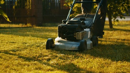 Fototapeta premium Lawn mowers cut grass. Garden work concept background