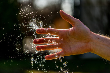 Hands with water splash, backlit by the evening sun.