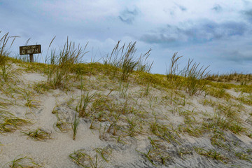 Island Beach State Park is located at in southern New Jersey at the popular Jersey shore and...