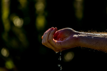 Hands with water splash, backlit by the evening sun.