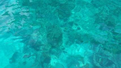 underwater footage on phi phi islands