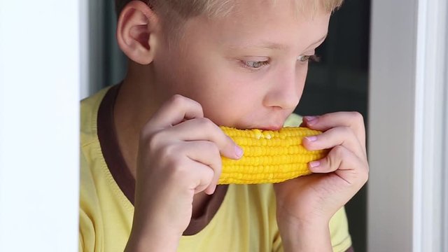 Closeup View Video Of Cute Funny White Kid Enjoying Eating Boiled Corn Looking Out Of Window Staying Home.