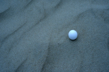 人間が先か、卵が先か