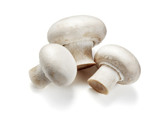 three fresh mushrooms isolated