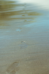Fototapeta na wymiar Wet footprints on the beach