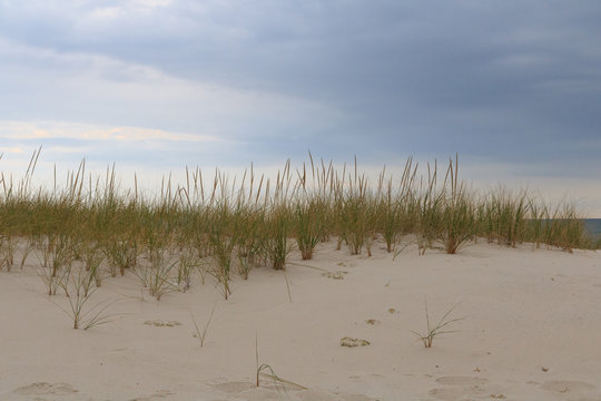 Island Beach State Park is located at in southern New Jersey at the popular Jersey shore and specifically Point Pleasant. The beach is clean  the surf delightful, the dunes are healthy. Can camp