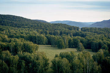 Sunset in the mountains, forest view