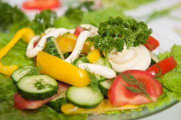 Salad of vegetables and herbs