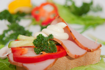 Sandwich with vegetables and herbs