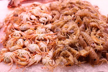 Shellfish for sale in the Central Market of Valencia, Spain