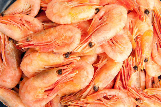 Boiled shrimp abstract background