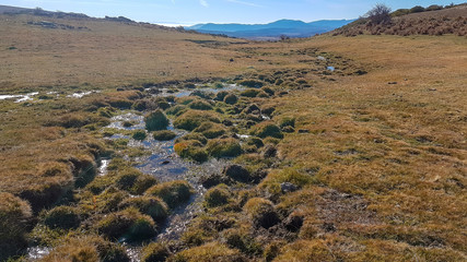 small stream in a grass meadow