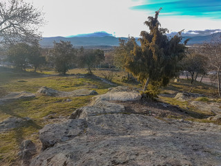 lowland landscape with bushes and trees rocks