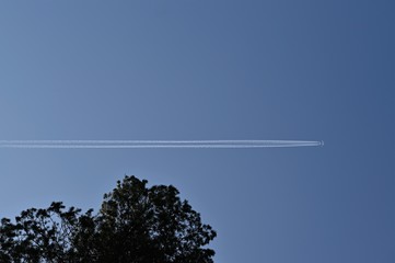 Flugzeug (Jumbo-Jet) mit Kondensstreifen vor blauem Himmel und Baumkrone