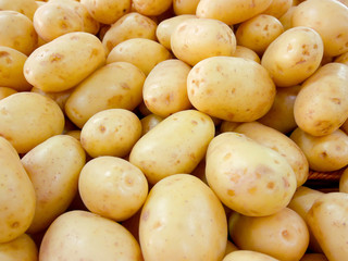 Potatoes in the market