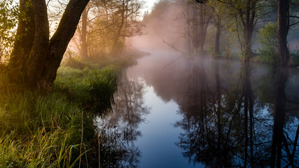 Barwny poranek nad rzeką Supraśl. Mgista Dolina Supraśli. Puszcza Knyszyńska, Podlasie, Polska © podlaski49