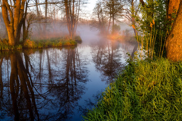 Obraz premium Barwny poranek nad rzeką Supraśl. Mgista Dolina Supraśli. Puszcza Knyszyńska, Podlasie, Polska