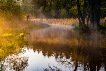 Barwny poranek nad rzeką Supraśl. Mgista Dolina Supraśli. Puszcza Knyszyńska, Podlasie, Polska © podlaski49
