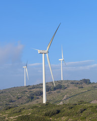 Vista de aerogeneradores bajo un cielo azul. España