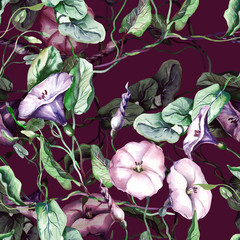 Field Bindweed Seamless Pattern. Watercolor Background