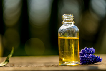 Fresh blue flowers and essential oil as natural aromatherapy for headache and migraine relief on old wooden background.