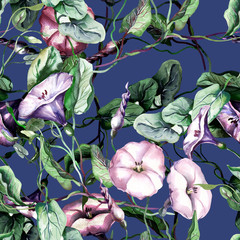 Field Bindweed Seamless Pattern. Watercolor Background