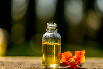 Bottles of essential oil with dried and fresh herbs and frankincense resin