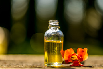 Bottles of essential oil with dried and fresh herbs and frankincense resin