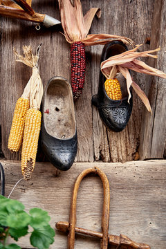Asturian madre&ntilde;as traditional shoes with organic corn