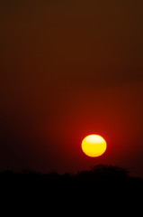 Amazing red African sunset