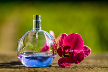 Obraz na płótnie Canvas Bottle of perfume with flowers on color bokeh background.