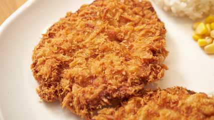 Tonkatsu, pork cutlet with brown sauce