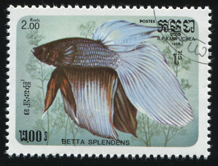 postage stamp with fish