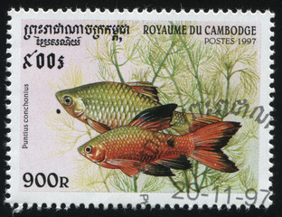 postage stamp with fish