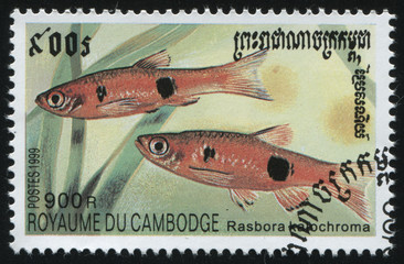 postage stamp with fish