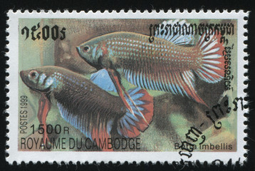 postage stamp with fish