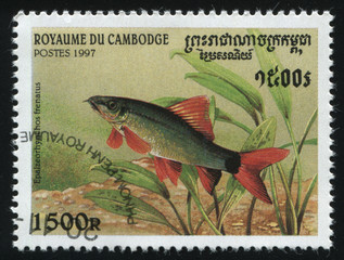 postage stamp with fish