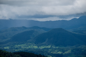 Forest during the rainy season on the mountains of northern Thailand