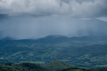 Forest during the rainy season on the mountains of northern Thailand