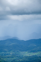 Fototapeta na wymiar Forest during the rainy season on the mountains of northern Thailand