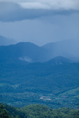 Forest during the rainy season on the mountains of northern Thailand