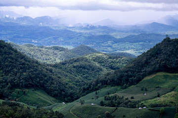 Fototapeta premium Forest during the rainy season on the mountains of northern Thailand
